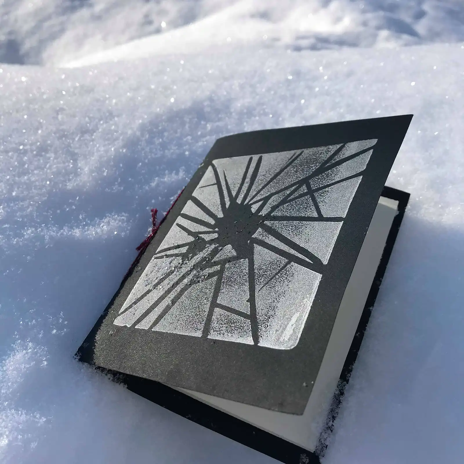 Thumbnail: Shards - Frances Boyle
