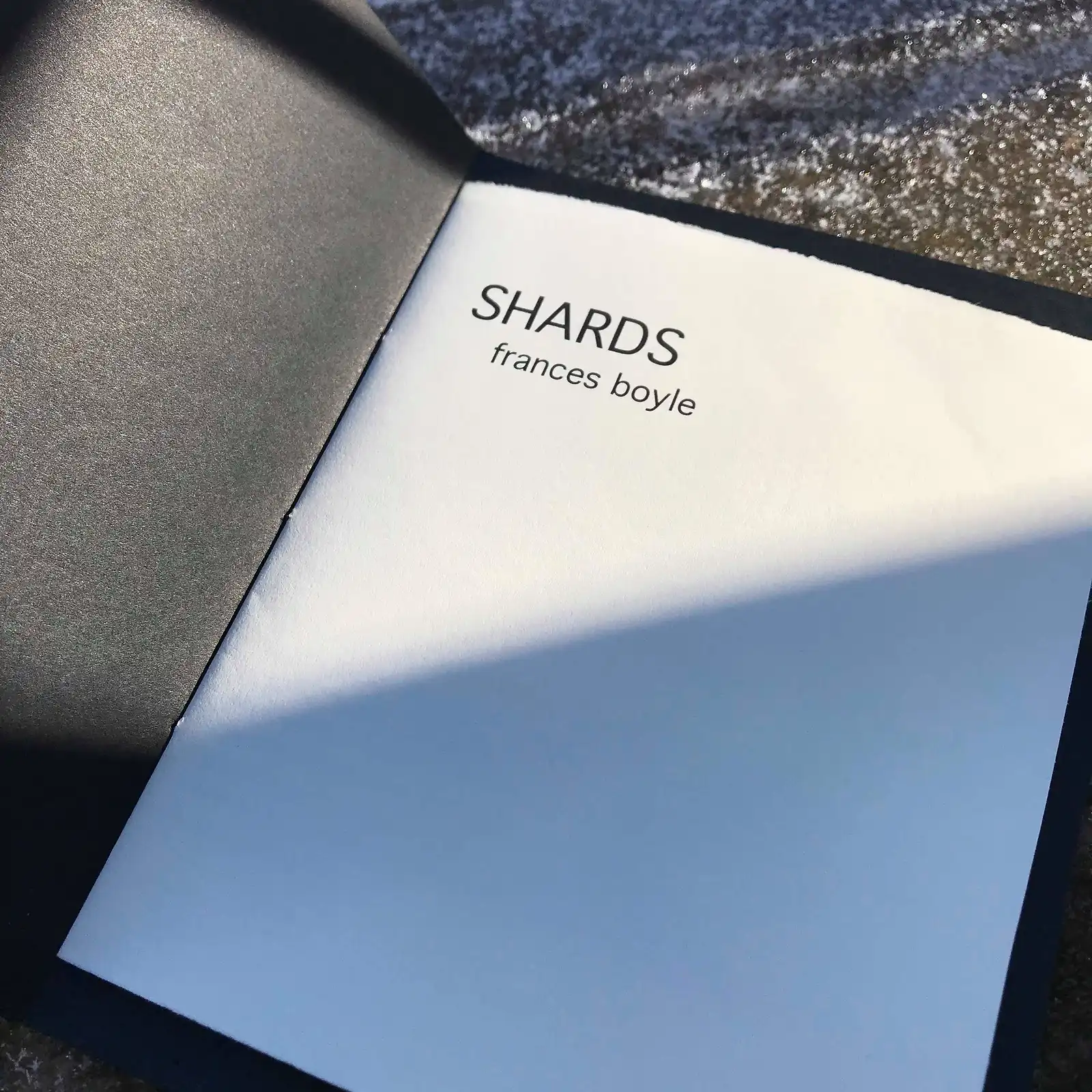 Thumbnail: Shards - Frances Boyle
